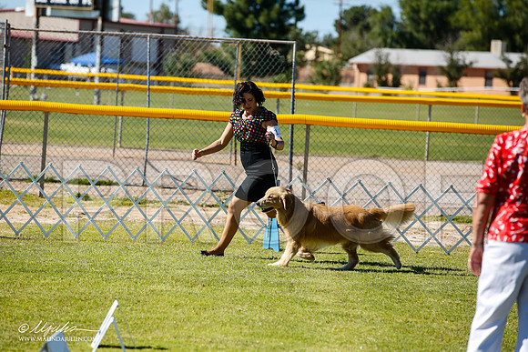 _JN_7377-AlamogordoOct2014-HR3