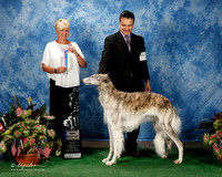 Borzoi #20 Fri Maj BOW Snyder Danielle and Diana Darling Judge Debra L Thornton