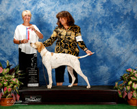 Pointer #10 Fri BOW NC Parr Nancy and Sally Barton Judge Debra L Thornton