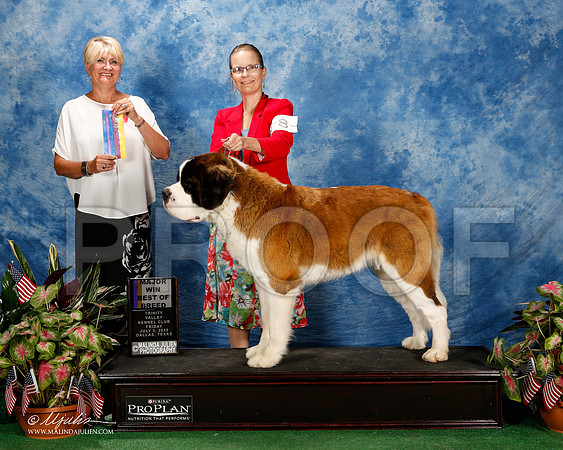 _ST_5068-2-DallasJul2015-HR3