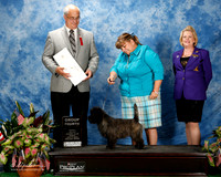 Cairn Terrier #7 Fri G4 Grabow Edna Kari Loken Judge Robert Paust
