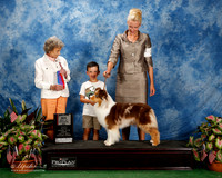 Miniature American Shepherd #12 Fri Maj BOS Ganske Jerisha and Jeanie McAdams Agent Clint Livingston Judge Francine W Schwartz