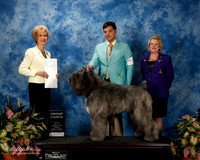 Bouvier De Flandre #9 Fri G4 Martin Priscilla Susan Digorno Agent Greg Reyna Judge June A Penta