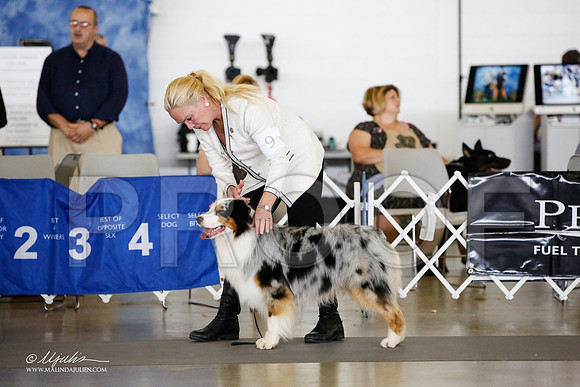 _JJ_1056-DallasJul2015-HR3
