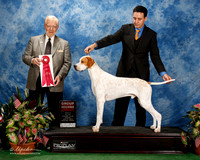 Pointer #7 Fri G2 Mosing Jennifer and Alberto Abajo Romo Judge Dr Gerard C Penta