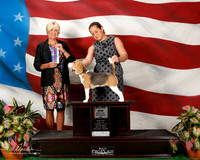 Beagle #14 Sat Maj BOS Caroline dowell Judge Debra L Thornton