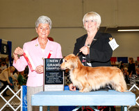 Dachsund Longhaired #15 Sat NGC Wilson Jeanie and terri De Jarnett Judge Theresa L Hundt