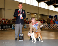 Bulldog #12 Sat Maj BOW Carlson Cynthia and Dino and Christie Garza Agent Brett McDonoaugh Judge George Milutinovich