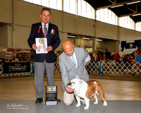 Bulldog #65 Sat BOB Jordan Landon and Jennifer and Jay Serion Agent Jay Serion Judge George Milutinovich