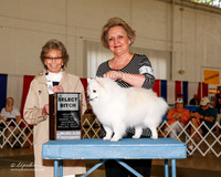 American Eskimo #14 Sat SB Schroeder Sherion and Jackie Blackburn Judge Francine W Schwartz