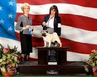 Pug #25 Sat Maj BOW NC Kolesar Patt and Stoltz and Rick Stoltz Judge June a Penta