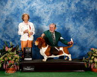 Basset Hound #19 Fri BOB Wreay Eddie O Jr Judge Francine Schwartz