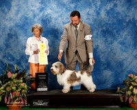 PBGV #7 Fri G3 Duelks Brad and Deborah King and B Major and N Frost Judge Francine Schwartz