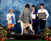 Whippet #18 Fri G1 Kruper Kerrie and N Barthelette and K Mlynar Judge Francine Schwartz