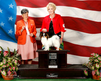 Papillon #35 Sat Maj SD Fayard Danae Judge Delores Burkholder