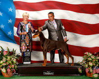 Doberman Pinscher #10 Sat BOW Vaca Maritza Nicolas Peribonio Judge Debra Thornton