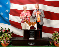 Cavalier King Charles Spaniel #12 THURS 4-6 Puppy Peterson Kathleen and Maurice Judge Ted E Eubank