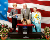 Pekingese #9 Sat BOW Blum Gloria Judge June A Penta