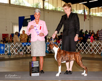Boxer #36 Sat WB Burleson Mary Frances and JoAnn Reinolds Agent Lori McClain Ferguson Judge Theresa L Hundt