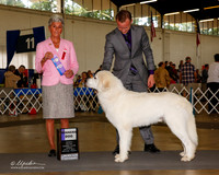 Great Pyrenees #9 Sat WD Eubank Tammy Agent Brian Livingston Judge Theresa L Hundt