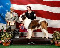 Saint Bernard #7 Sat NGC Eiker Danielle and Carol and George Ghering Judge vincent P Chianese