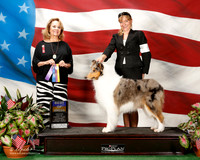 Collie Rough #6 Cable Stella Durham and Retha Judge Turnage Nahikian