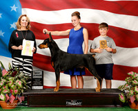 Doberman Pinscher #J607 Sat Best Jr Truesdail Alexis and Robyn Odell Judge Janet Turnage Nahikian