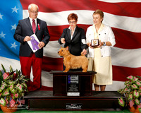 Norwich #8 Sat Maj WB Polly ONeal P and Janis Birchall Judge Robert Paust