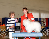 Coton #7 Sat Maj BOW Bruce Kellie Judge Francine W Schwartz