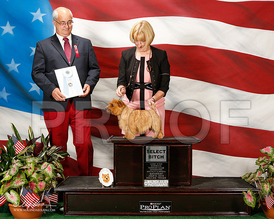 _ST_5611-2-DallasJul2015-HR3