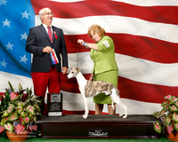 Whippet #9 Sat Maj BOW Sherry Craig and Nancy Colson Judge Robert Paust