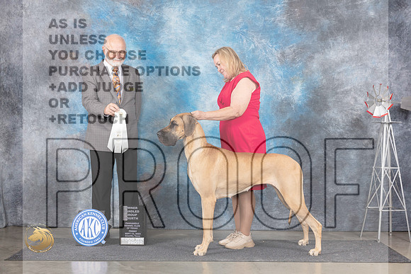 Great Dane #10 Fri OHG4 Judge Gary Andersen__JP_5540_Amarillo_2024_HR3