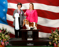 Cavalier King Charles Spaniel #54 Sat SB Scott Andi and Taylor Scott Judge anne Eckersley