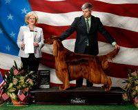 Irish Setter #15 G4 Foote B and M J Fisher DVM and K Wall and T McNeal Judge Delores Burkholder