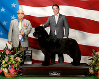 Newfoundland #14 Sat Maj WB Steffen Sylvia Judge Vincent P Chianese