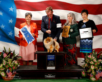 Pomeranian #23 Sat G1 Bird Bonnie A Udomisin Littichkun Agent Curtiss G Smith Judge Delores Burkholder