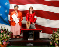 Yorkshire Terrier #11 Sat G4 Shute Michele Judge Delores Burkholder