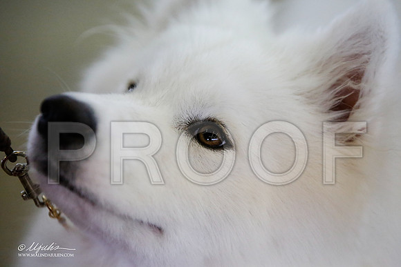 _JJ_1692-DallasJul2015-HR3