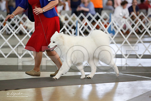 _JJ_1708-DallasJul2015-HR3