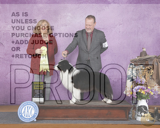 Border Collie #7 Fri G3 Judge Janice McClary_WP_1064-Glen Rose 2026-HR3