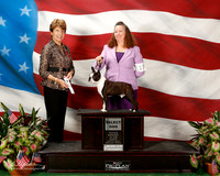 Boston Terrier #22 Sun SD Kinnaird Stacie Dawn Mancine Fred Villaume Judge Sue Goldberg