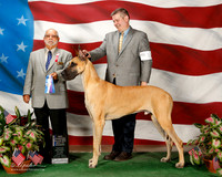 Great Dane #11 Sun NC WD Maj Boldt Steven and Jelena and Steve Arnold Judge Vincent P Chianese