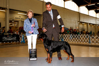 Rottweiler #10 Sun NC Maj WB Erman Stanely Debbie Judge Francine W Schwartz