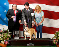 Bulldog #52 Sun Maj BOS roberts Srephanie and Nancy Shaw Judge Kevin Riley