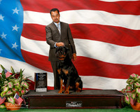 Rottweiler #10 Sun WB Maj NCErman Stanley Debbie