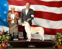 Siberian Husky #24 Sun SB Elvin Izaguirre E and Armando Villaldos Judge Debra L Thornton