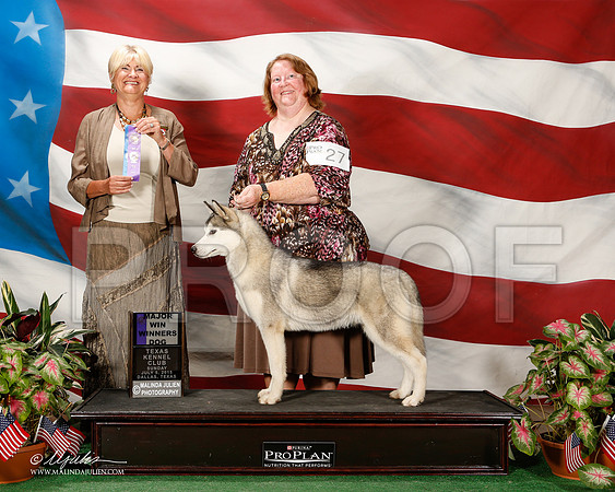 _ST_5903-2-DallasJul2015-HR3