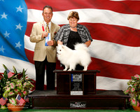American Eskimo #7 Sun Maj BOW Raefner Irene Judge George Milutinovich