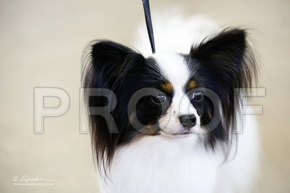 _JJ_2022-DallasJul2015-HR3