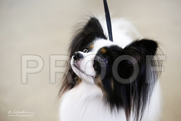 _JJ_2024-DallasJul2015-HR3
